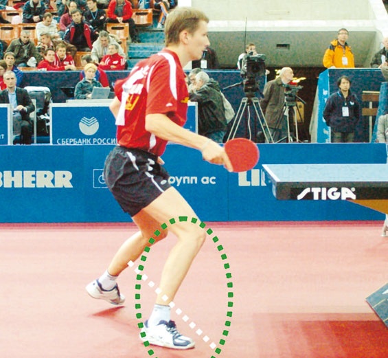 Иллюстрация к книге — Настольный теннис. Руководство от чемпиона мира [i_140.jpg]