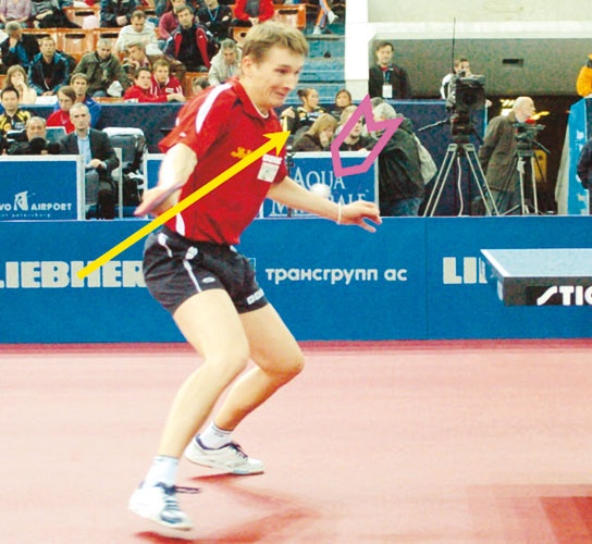 Иллюстрация к книге — Настольный теннис. Руководство от чемпиона мира [i_142.jpg]