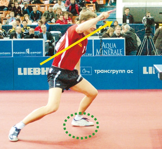 Иллюстрация к книге — Настольный теннис. Руководство от чемпиона мира [i_143.jpg]