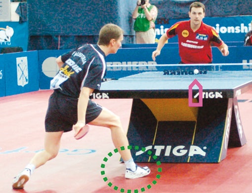 Иллюстрация к книге — Настольный теннис. Руководство от чемпиона мира [i_174.jpg]