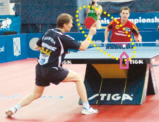 Иллюстрация к книге — Настольный теннис. Руководство от чемпиона мира [i_177.jpg]