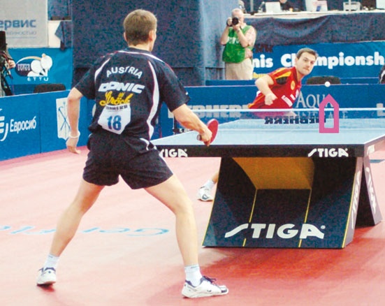 Иллюстрация к книге — Настольный теннис. Руководство от чемпиона мира [i_190.jpg]