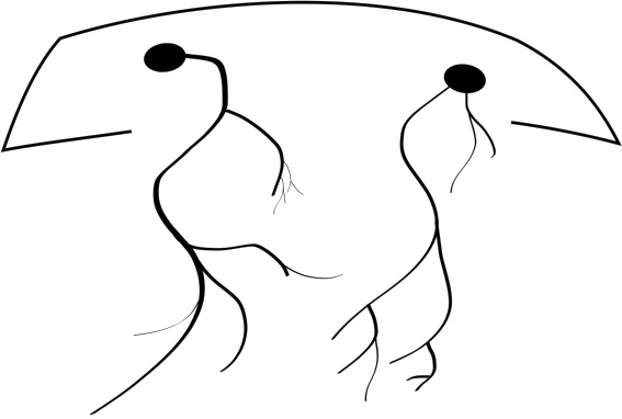 Иллюстрация к книге — Путеводитель по психопатам [i_015.jpg]