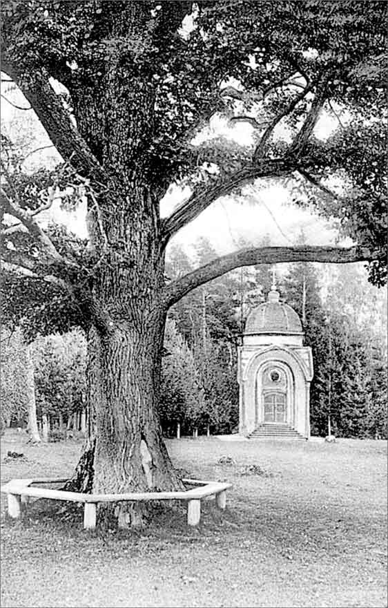 Иллюстрация к книге — Луга и окрестности. Из истории населенных мест Лужского района [i_029.jpg]