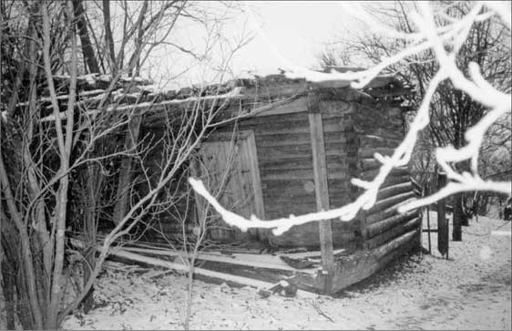 Иллюстрация к книге — Луга и окрестности. Из истории населенных мест Лужского района [i_047.jpg]