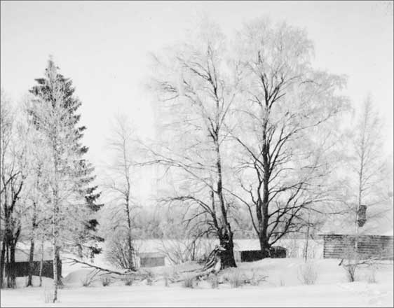 Иллюстрация к книге — Луга и окрестности. Из истории населенных мест Лужского района [i_205.jpg]
