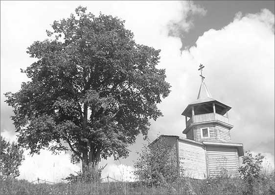 Иллюстрация к книге — Луга и окрестности. Из истории населенных мест Лужского района [i_218.jpg]