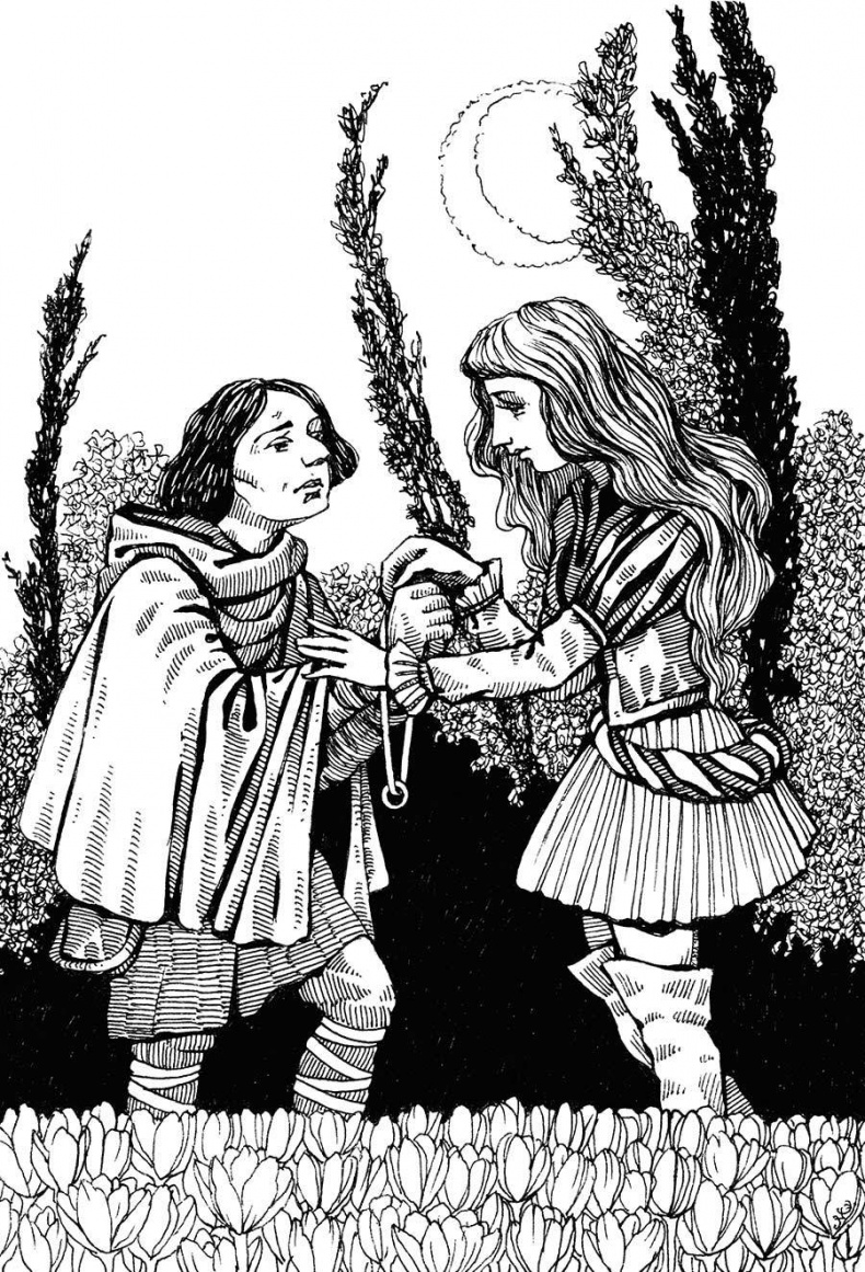 Иллюстрация к книге — Мар. Червивое сердце [i_007.jpg]