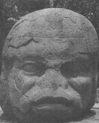 Иллюстрация к книге — Следы богов [i_046.jpg]