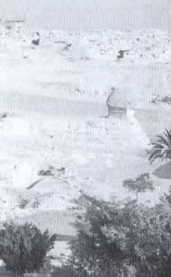 Иллюстрация к книге — Следы богов [i_146.jpg]