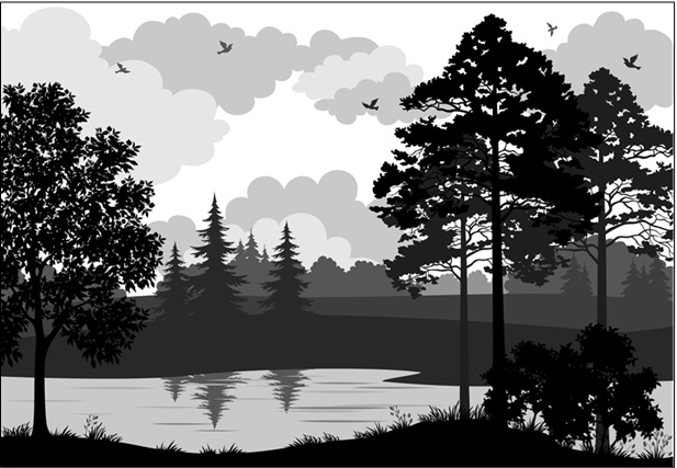 Иллюстрация к книге — Тренажер для мозга. Методики агентов спецслужб - развитие интеллекта, памяти и внимания [i_009.jpg]