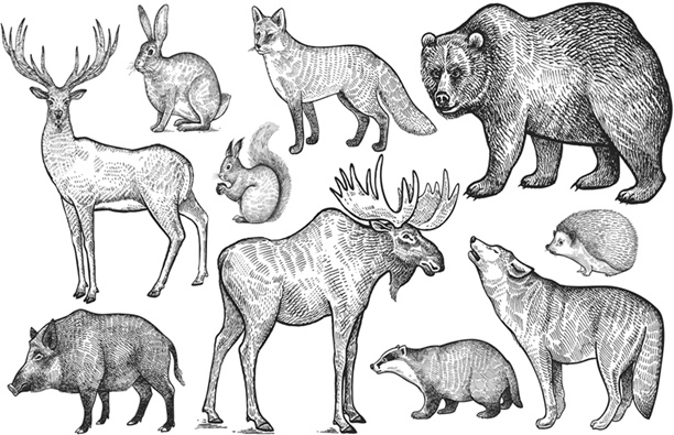 Иллюстрация к книге — Тренажер для мозга. Методики агентов спецслужб - развитие интеллекта, памяти и внимания [i_054.jpg]