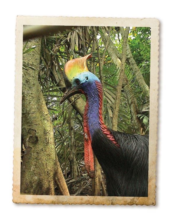 Иллюстрация к книге — Дикие истории. Дневник настоящего мужика [i_024.jpg]