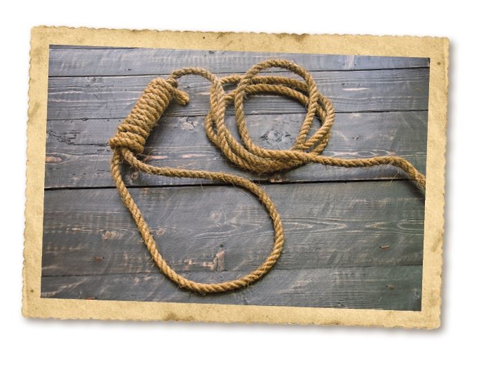 Иллюстрация к книге — Дикие истории. Дневник настоящего мужика [i_033.jpg]