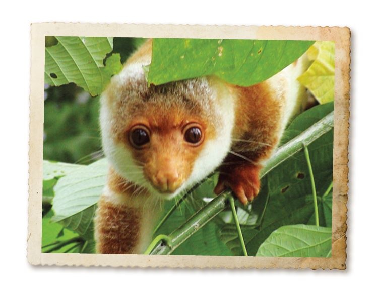 Иллюстрация к книге — Дикие истории. Дневник настоящего мужика [i_034.jpg]