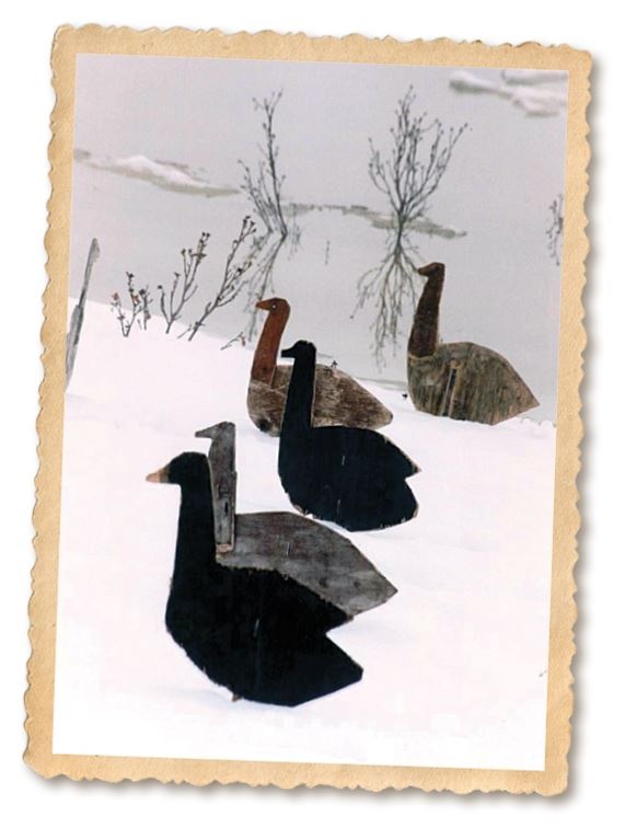 Иллюстрация к книге — Дикие истории. Дневник настоящего мужика [i_042.jpg]