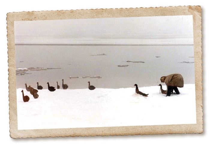 Иллюстрация к книге — Дикие истории. Дневник настоящего мужика [i_043.jpg]