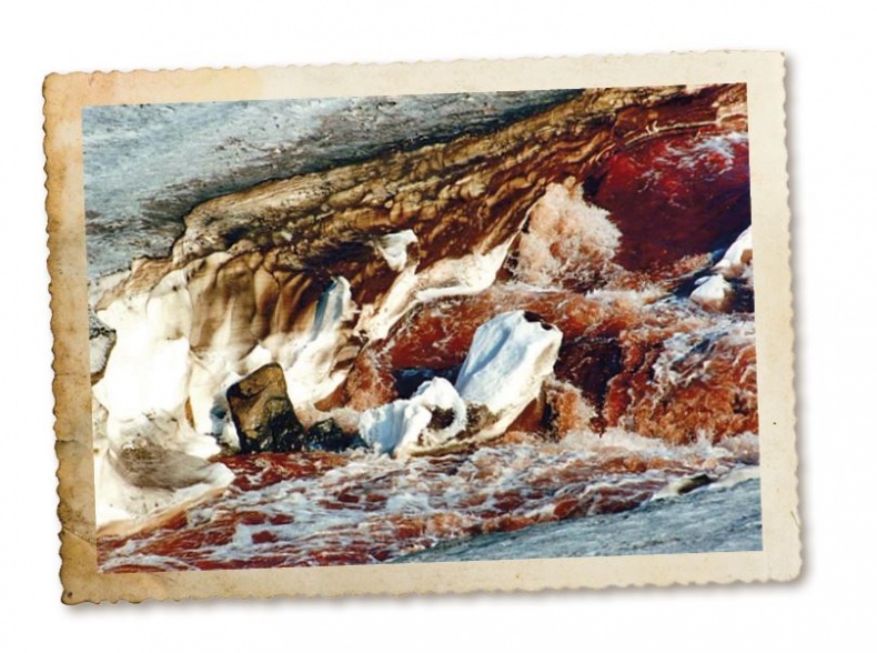 Иллюстрация к книге — Дикие истории. Дневник настоящего мужика [i_045.jpg]