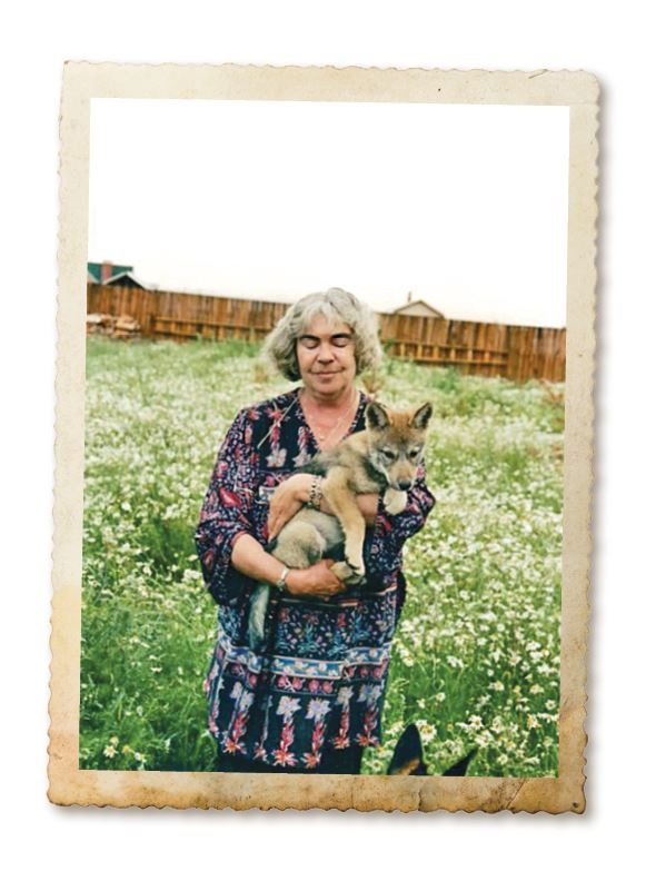 Иллюстрация к книге — Дикие истории. Дневник настоящего мужика [i_055.jpg]