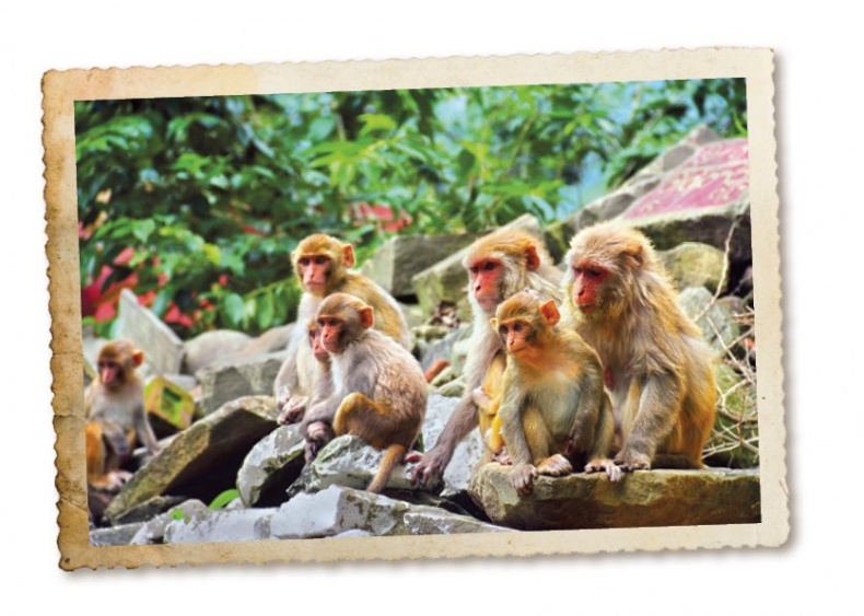 Иллюстрация к книге — Дикие истории. Дневник настоящего мужика [i_069.jpg]