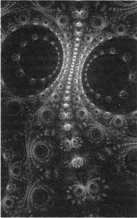 Иллюстрация к книге — Тайны квантового мира. О парадоксальности пространства и времени [i_012.jpg]