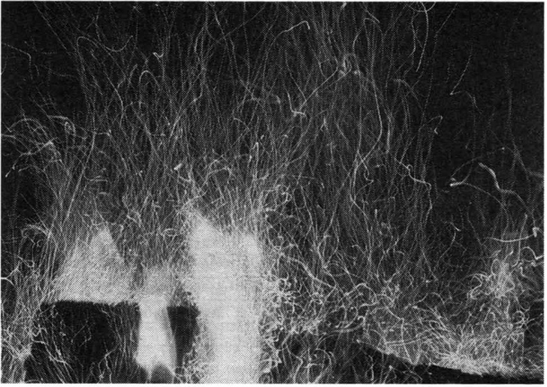 Иллюстрация к книге — Тайны квантового мира. О парадоксальности пространства и времени [i_016.jpg]