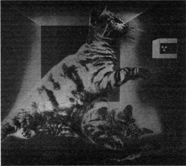 Иллюстрация к книге — Тайны квантового мира. О парадоксальности пространства и времени [i_035.jpg]