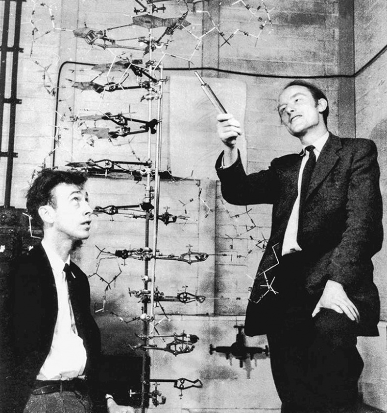 Иллюстрация к книге — ДНК. История генетической революции [i_001.jpg]