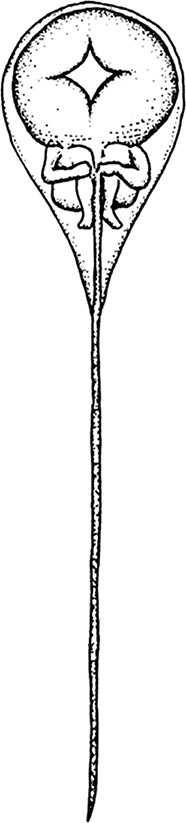 Иллюстрация к книге — ДНК. История генетической революции [i_004.jpg]