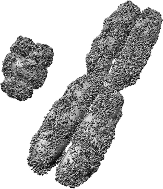 Иллюстрация к книге — ДНК. История генетической революции [i_005.jpg]