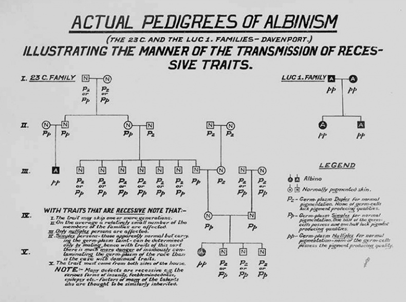 Иллюстрация к книге — ДНК. История генетической революции [i_012.jpg]