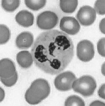 Иллюстрация к книге — ДНК. История генетической революции [i_018.jpg]