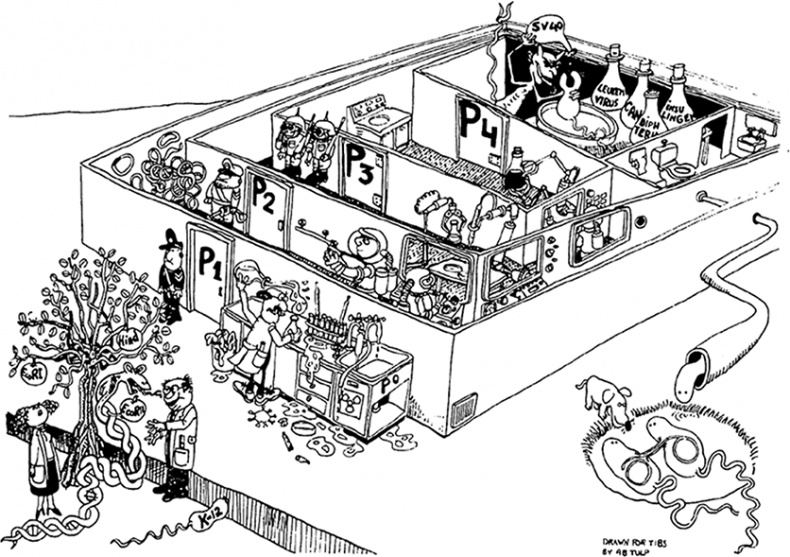 Иллюстрация к книге — ДНК. История генетической революции [i_052.jpg]
