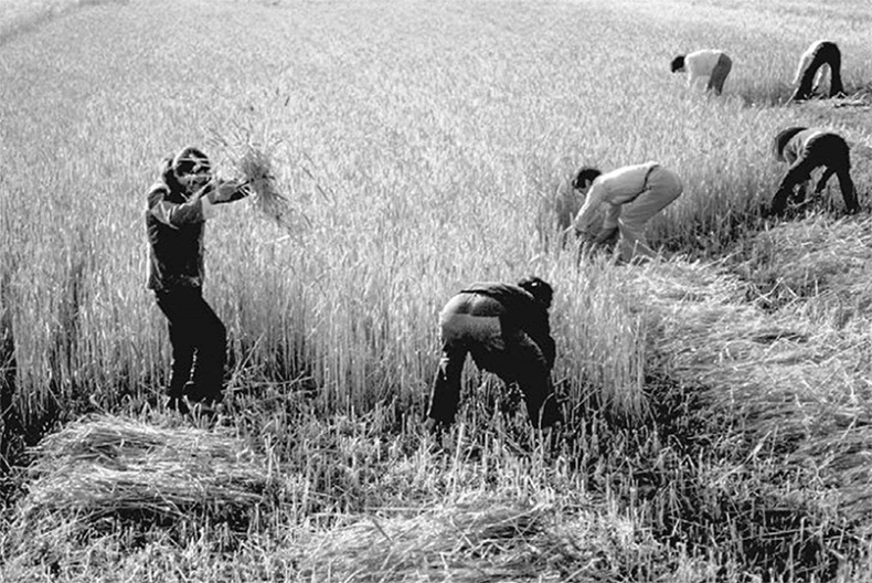 Иллюстрация к книге — ДНК. История генетической революции [i_071.jpg]