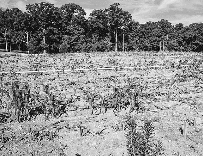 Иллюстрация к книге — ДНК. История генетической революции [i_073.jpg]