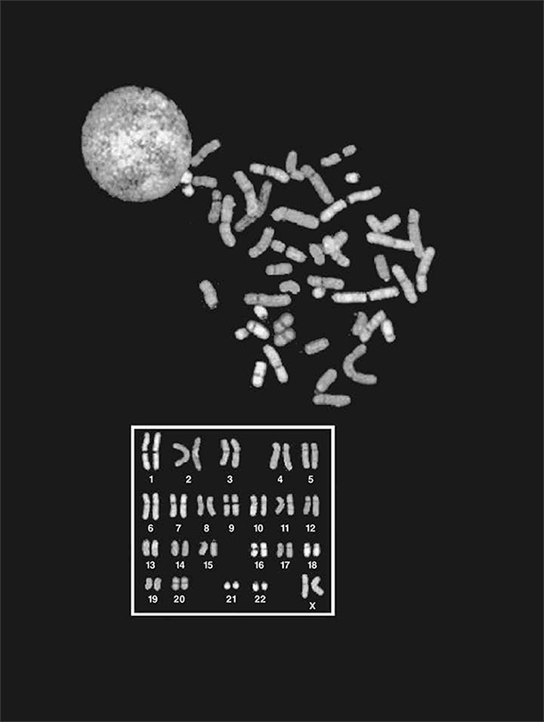 Иллюстрация к книге — ДНК. История генетической революции [i_075.jpg]