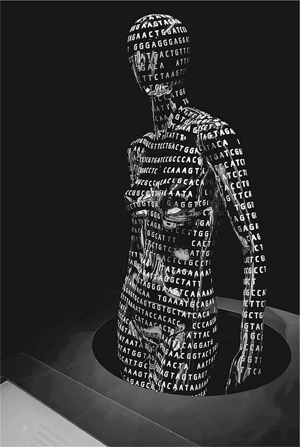 Иллюстрация к книге — ДНК. История генетической революции [i_090.jpg]