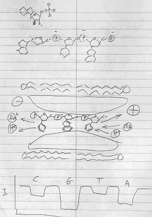 Иллюстрация к книге — ДНК. История генетической революции [i_103.jpg]
