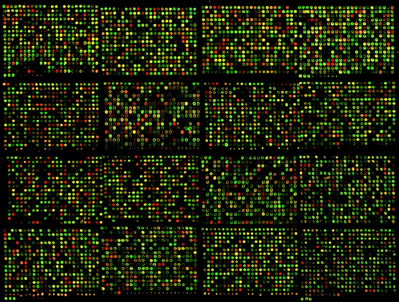 Иллюстрация к книге — ДНК. История генетической революции [i_108.jpg]