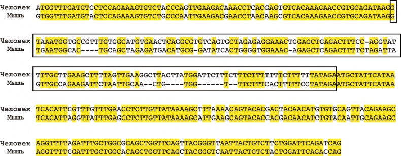 Иллюстрация к книге — ДНК. История генетической революции [i_113.jpg]