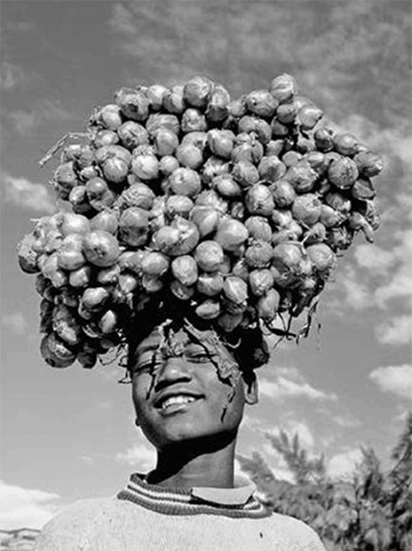 Иллюстрация к книге — ДНК. История генетической революции [i_117.jpg]