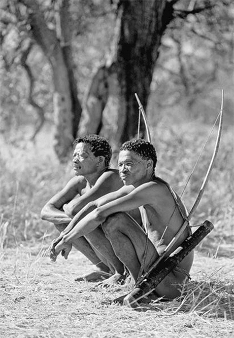 Иллюстрация к книге — ДНК. История генетической революции [i_130.jpg]