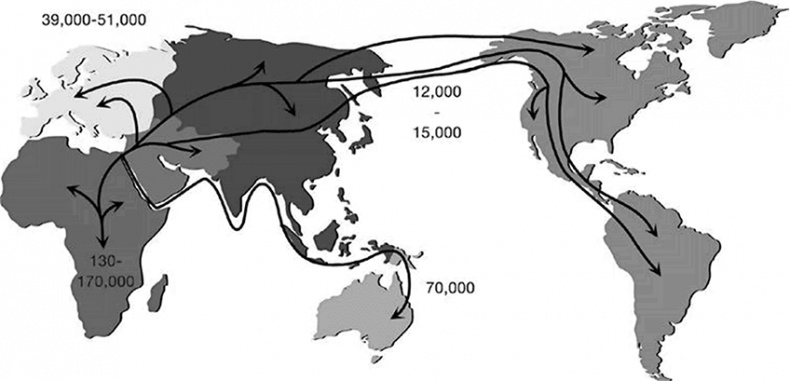 Иллюстрация к книге — ДНК. История генетической революции [i_133.jpg]
