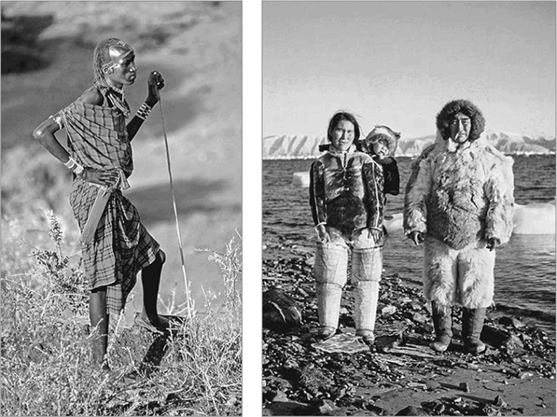 Иллюстрация к книге — ДНК. История генетической революции [i_135.jpg]