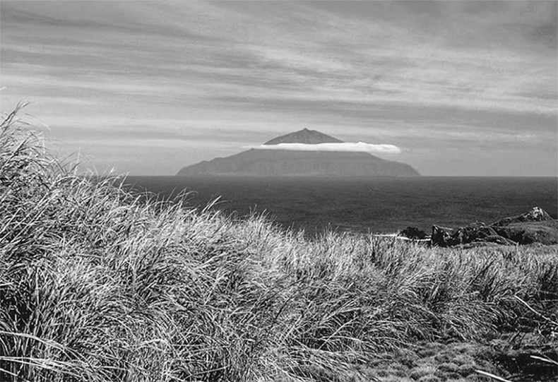 Иллюстрация к книге — ДНК. История генетической революции [i_150.jpg]