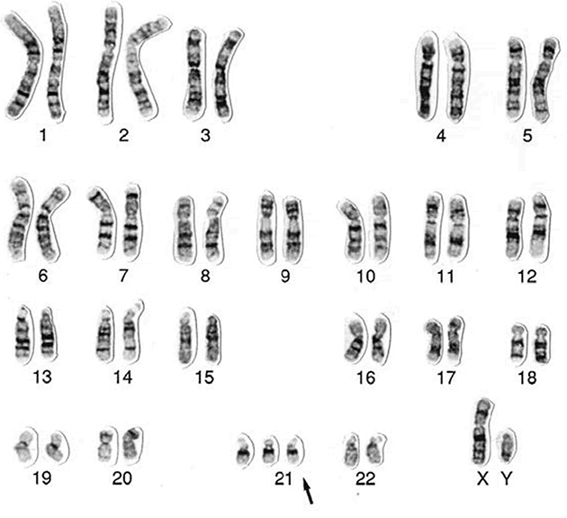 Иллюстрация к книге — ДНК. История генетической революции [i_152.jpg]