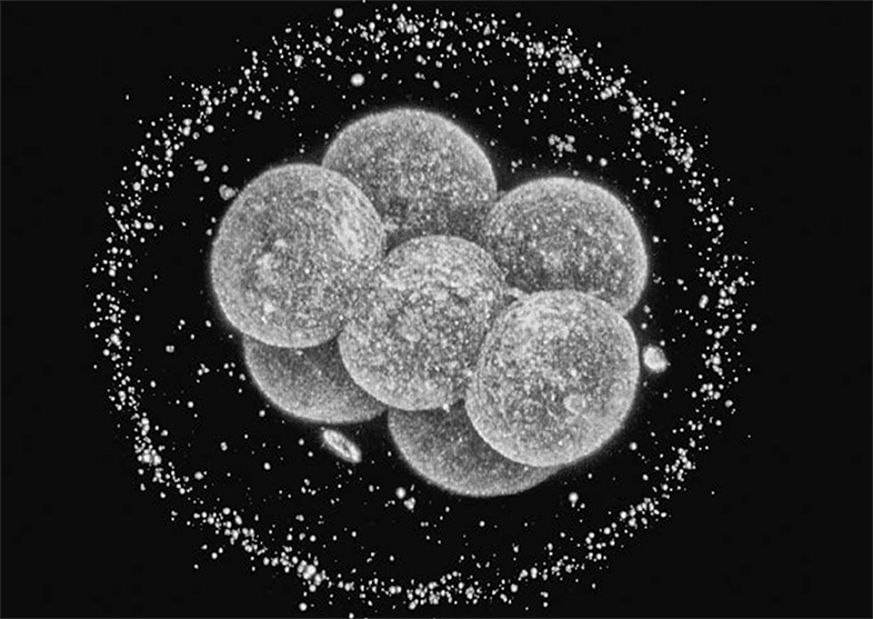 Иллюстрация к книге — ДНК. История генетической революции [i_155.jpg]