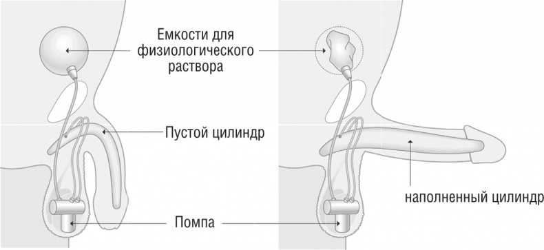 Иллюстрация к книге — ОН. Интимный разговор про тот самый орган [i_023.jpg]