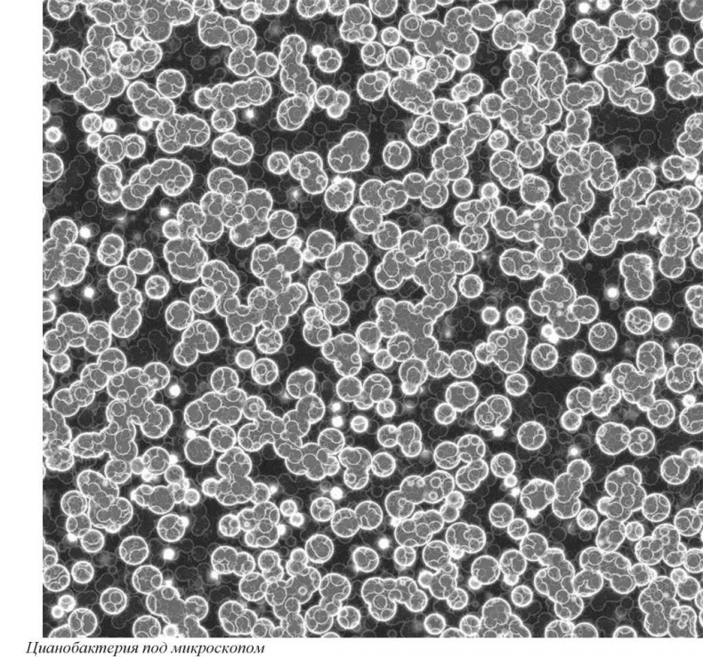 Иллюстрация к книге — Тайны природных аномалий [i_020.jpg]