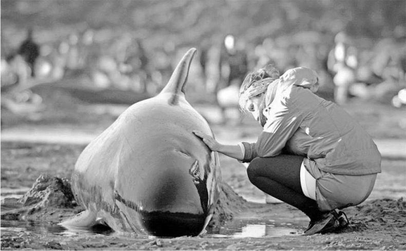 Иллюстрация к книге — Тайны природных аномалий [i_021.jpg]